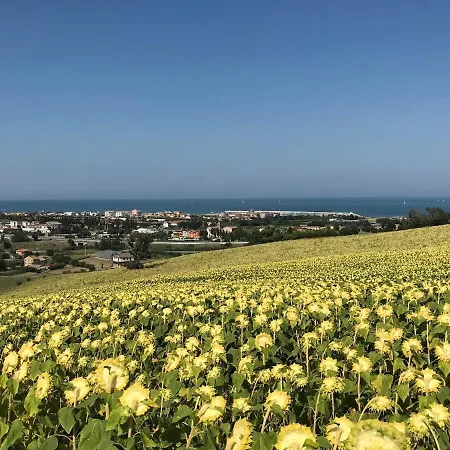 Agricampeggio Abbruzzetti マリーナ・パルメンセ