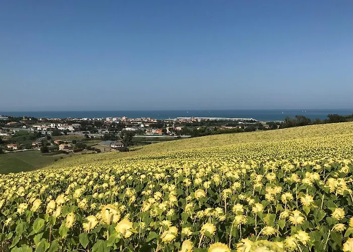 Agricampeggio Abbruzzetti Marina Palmense